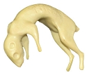 ES158